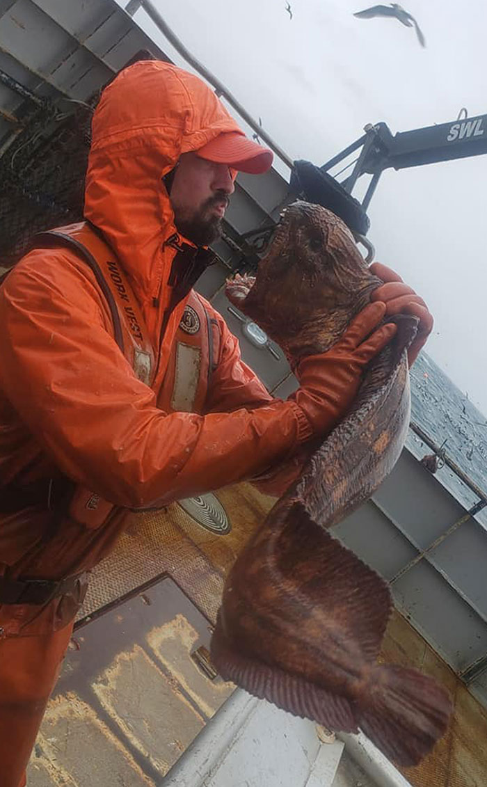 This Is A Wolf Eel, Pure Oceanic Nightmare Fuel