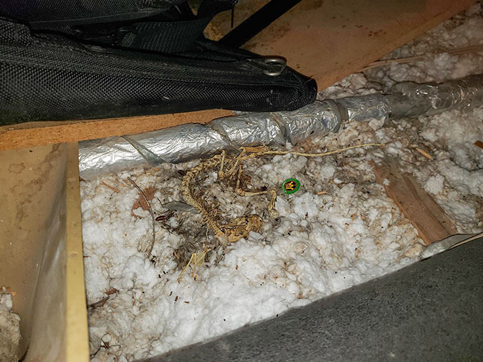 Found This While Digging Around In My Parent's Attic