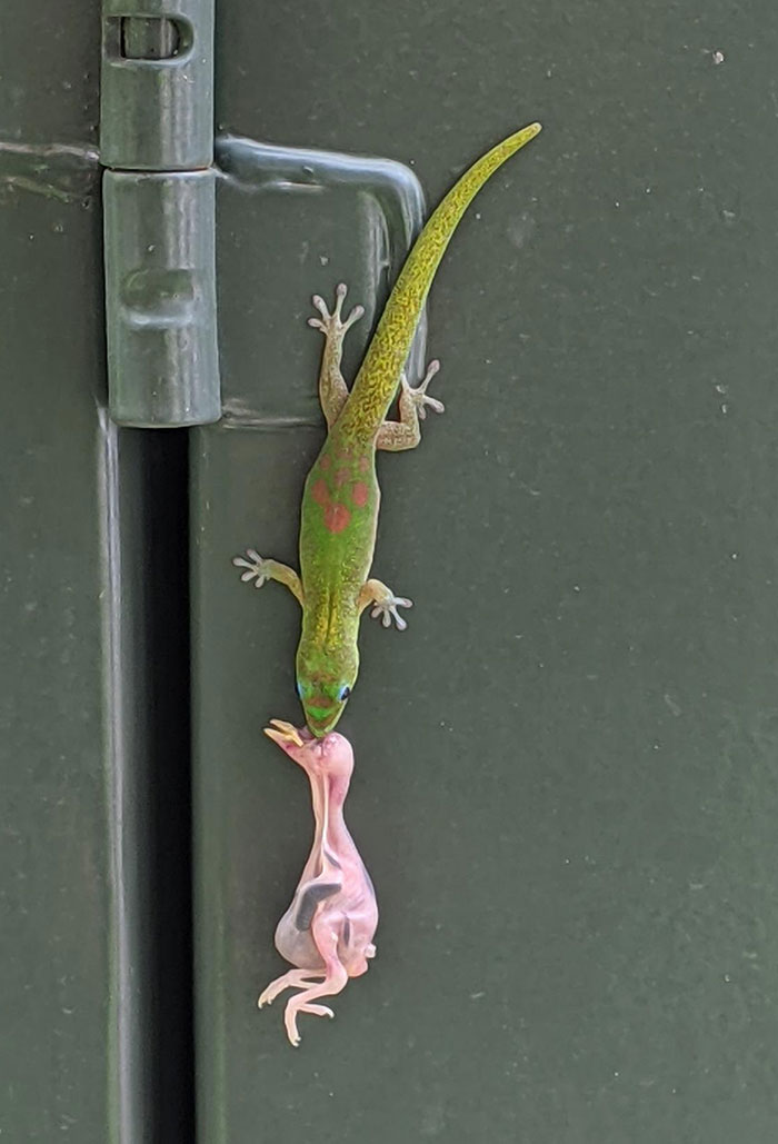 Mother Nature Doesn't Care About Mother's Day