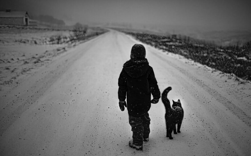 My Son And Our Cat Are Best Friends Who Do Everything Together (12 Pics)