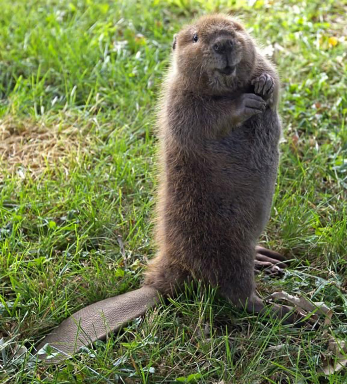 I Think He Is Smilling