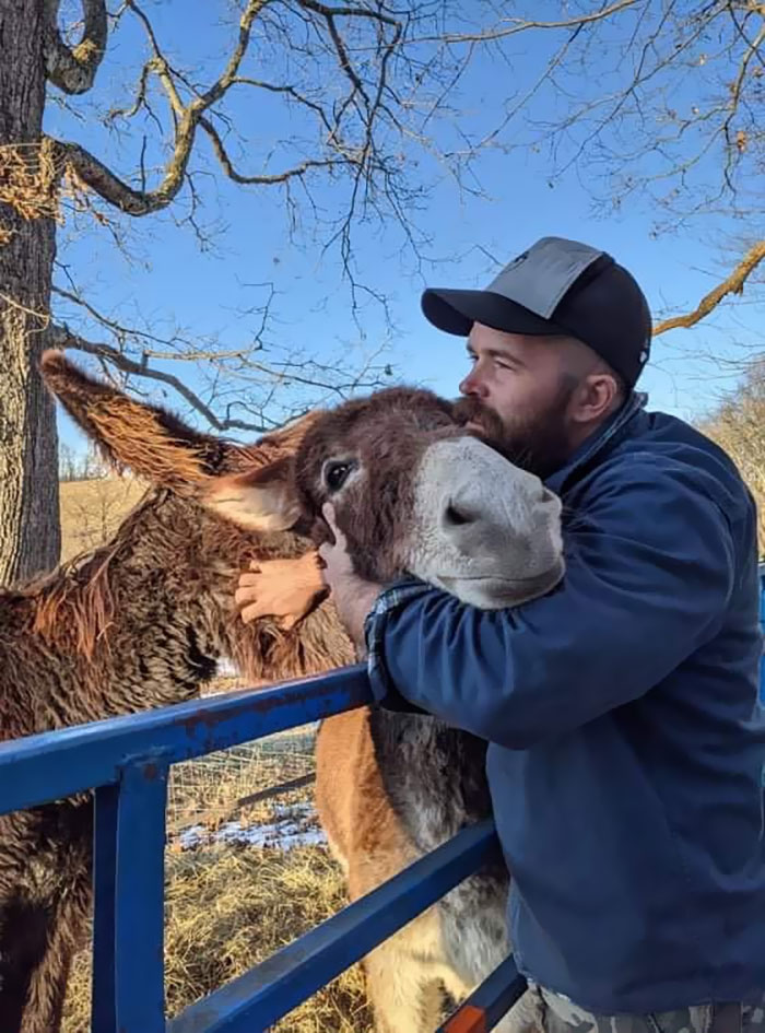 Man wearing cap embracing and kissing a friendly donkey outdoors during a bright sunny day, showcasing cute donkey affection.