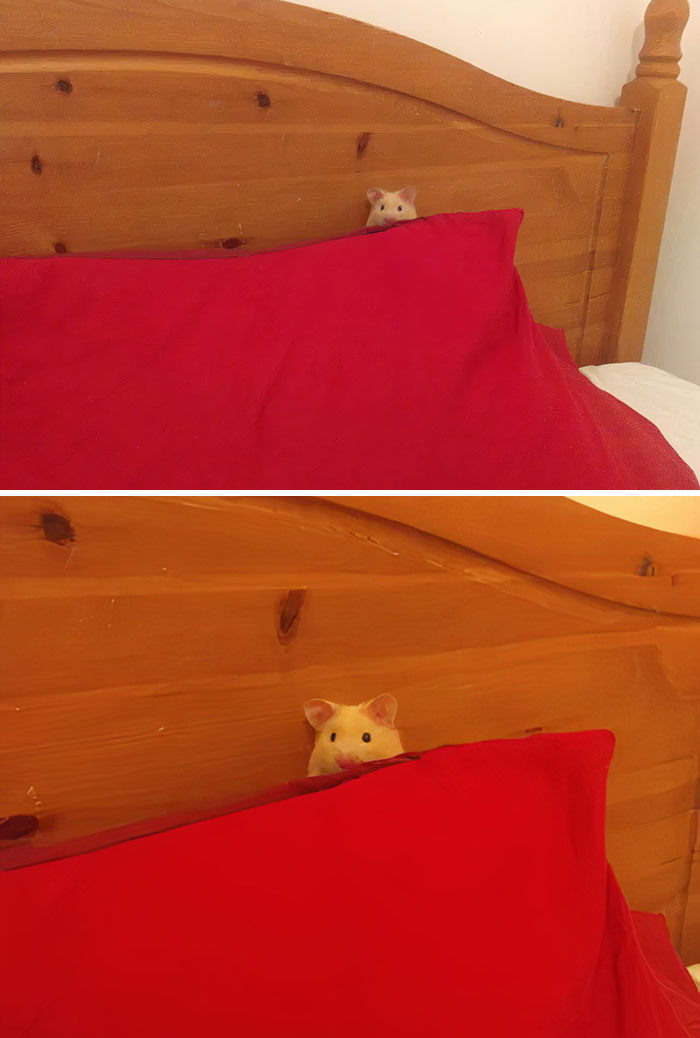 Me Watching A Scary Movie