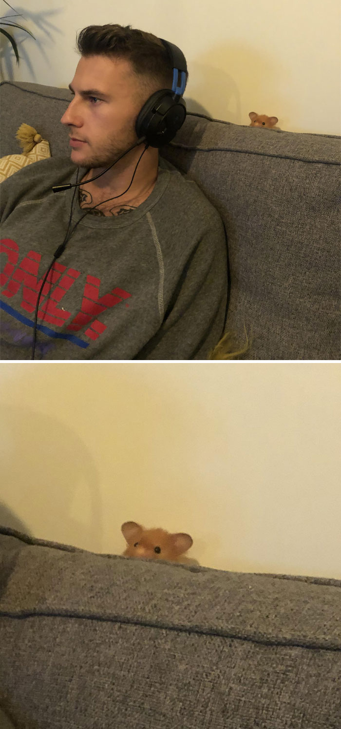 Le gusta verme jugar a videojuegos