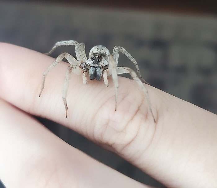 Say Hello To Gwendolyn