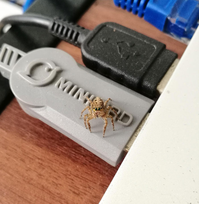 Vino a saludar mientras trabajaba