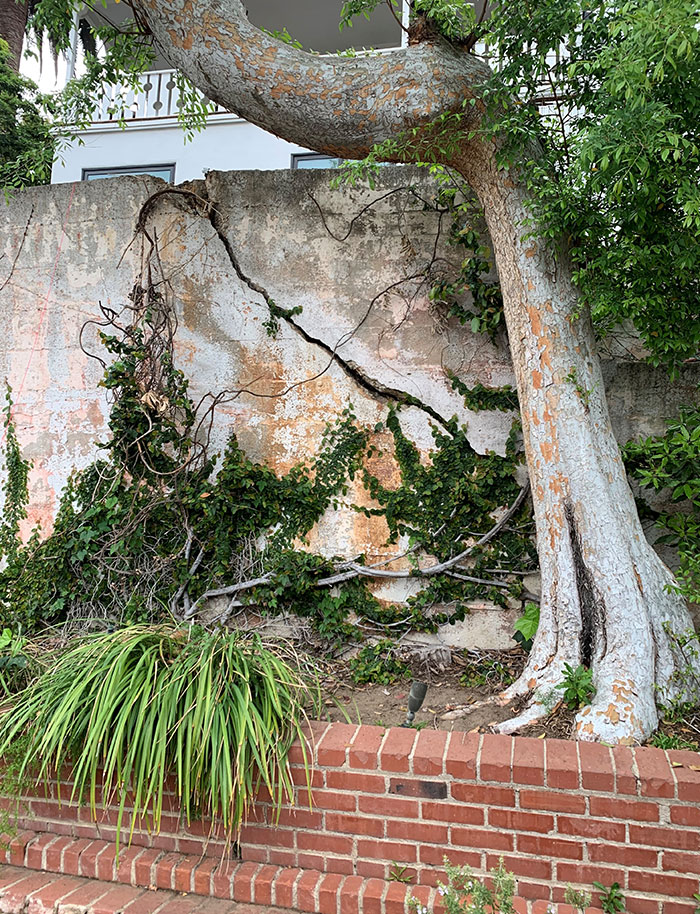 35 Times These Structural Inspectors Spotted Horrifying Things While On The Job (New Pics)