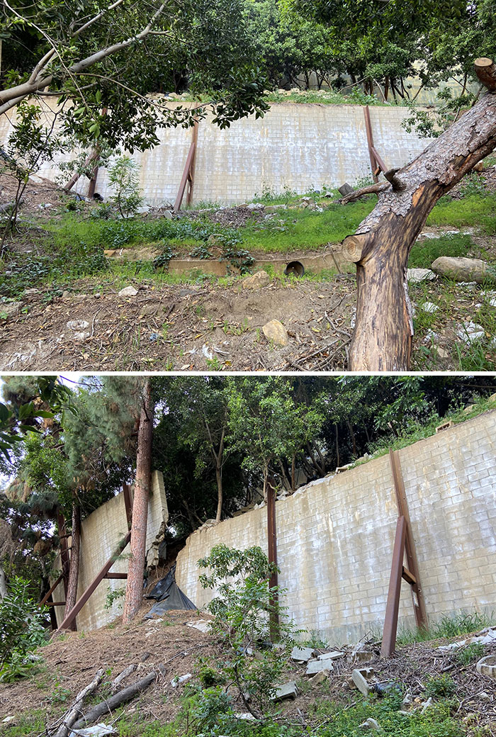 35 Times These Structural Inspectors Spotted Horrifying Things While On The Job (New Pics)