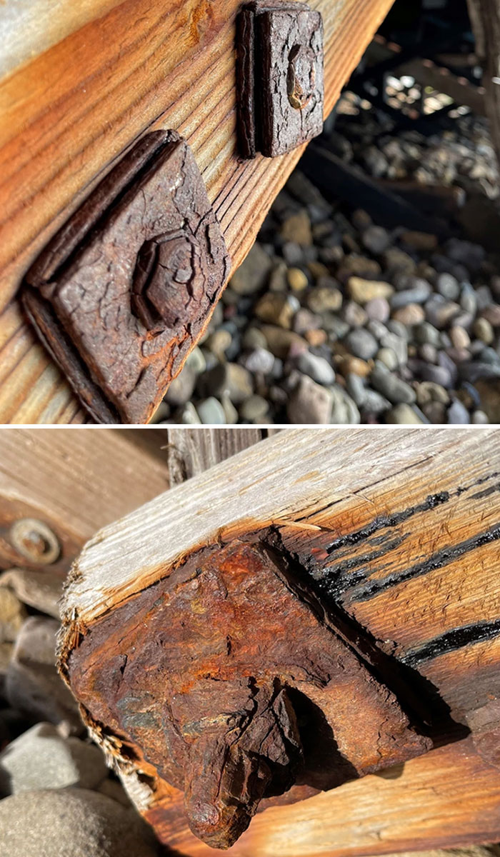 35 Times These Structural Inspectors Spotted Horrifying Things While On The Job (New Pics)