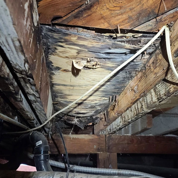 35 Times These Structural Inspectors Spotted Horrifying Things While On The Job (New Pics)