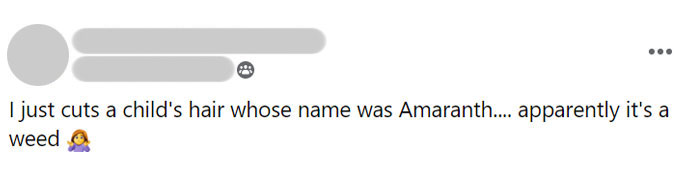 I Just Cut A Child's Hair Whose Name Was Amaranth