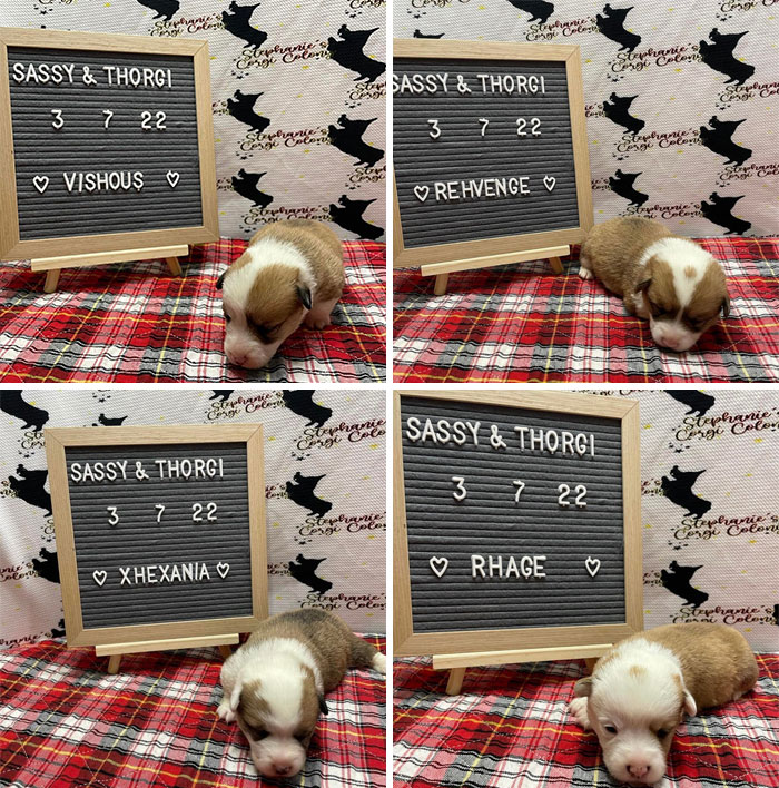 I Have No Idea When This Was A Target Ad On My Instagram But These Names..truly Tragique