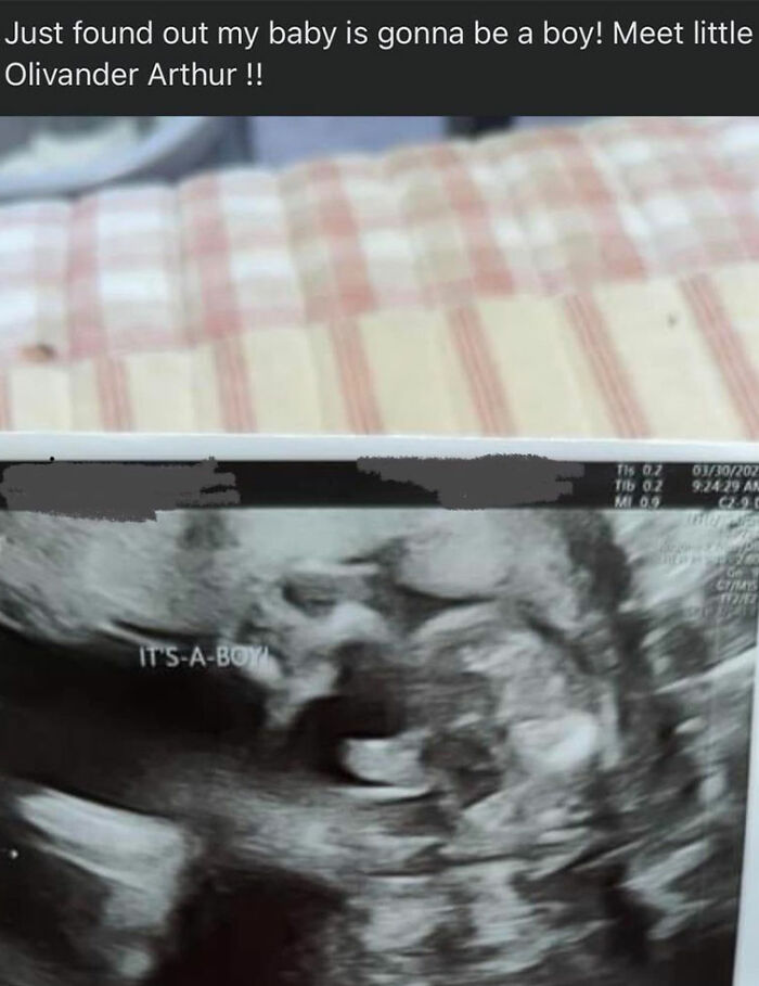 I Mean I Love Harry Potter But Why Not Just Oliver?