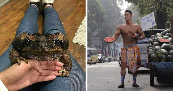 50 Times People Spotted ‘Absolute Units’ And Shared Them In This Online Community (New Pics)