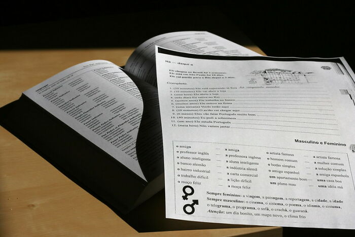 PhD Student Gets A Poor Grade For Buying A Pirate Book Copy, Starts A Pro-Revenge Investigation, Makes The Bootleg Shop Shut Down