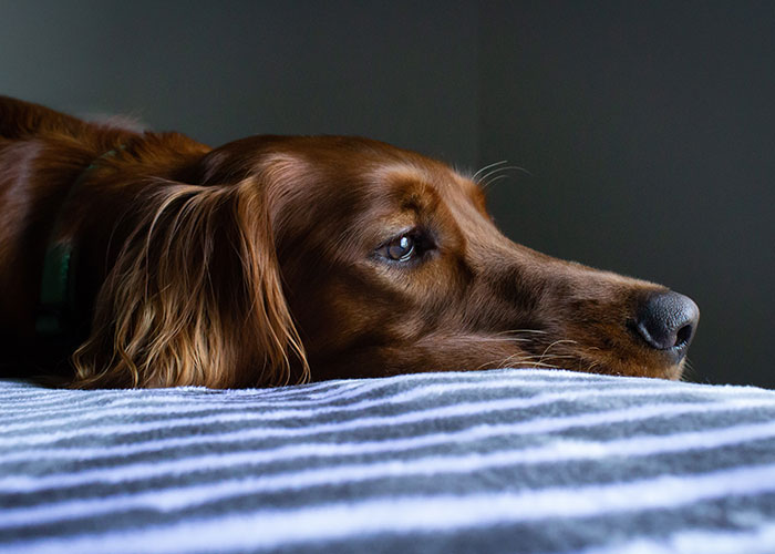 20 Secretos de ex-agentes del FBI y la CIA que la gente común no debe conocer