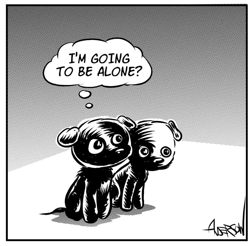 Writing Comics About Foster Dogs Isn't Always Funny