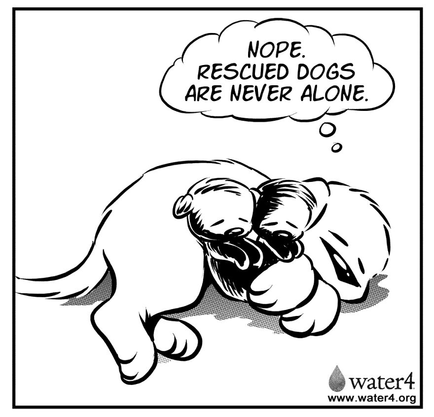 Writing Comics About Foster Dogs Isn't Always Funny