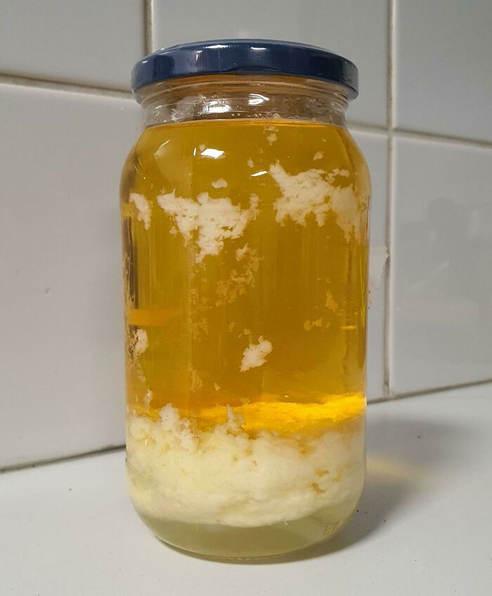 I Accidentally Put Mayo To The Freezer