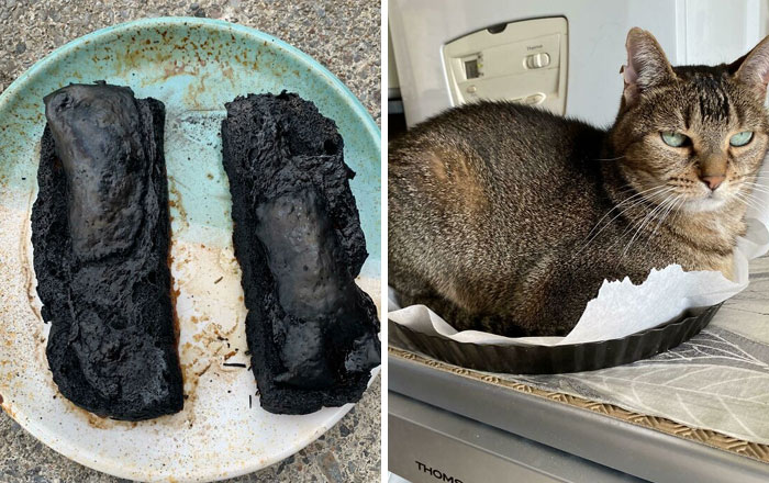 40 Of The Funniest Cooking Accidents (New Pics)