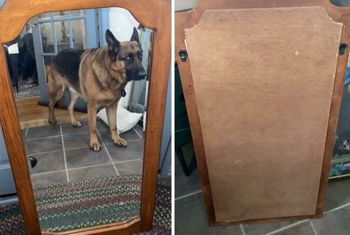 Found In My Local Garage Sale Site