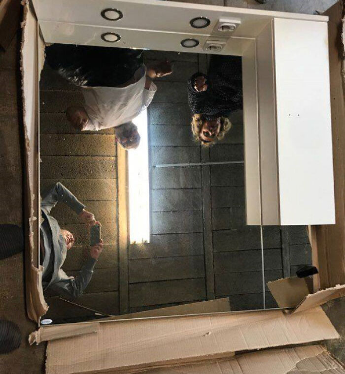 POV: You're A Spider And Humans Want To Kill You