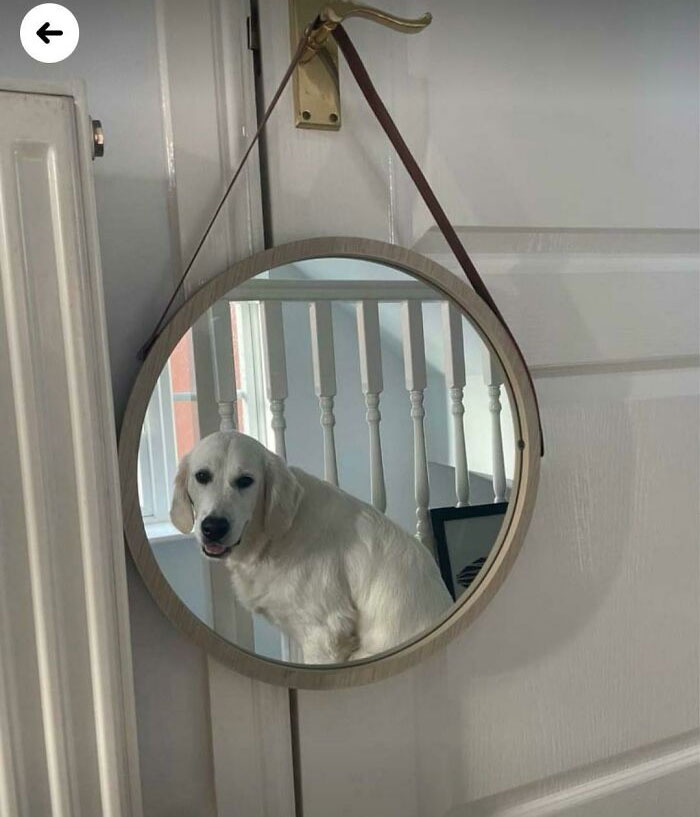 The Best Way To Advertise