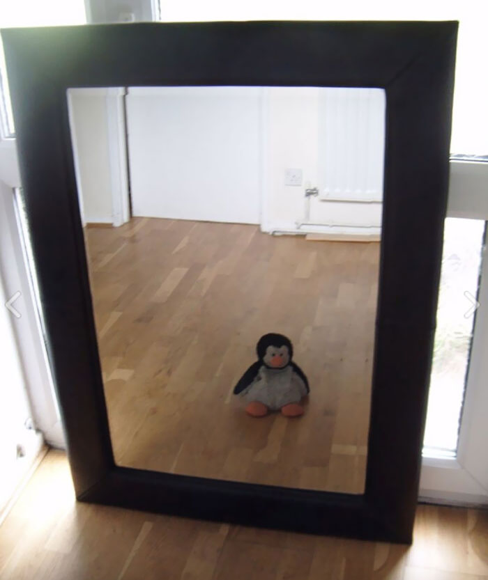 Is The Penguin Included?