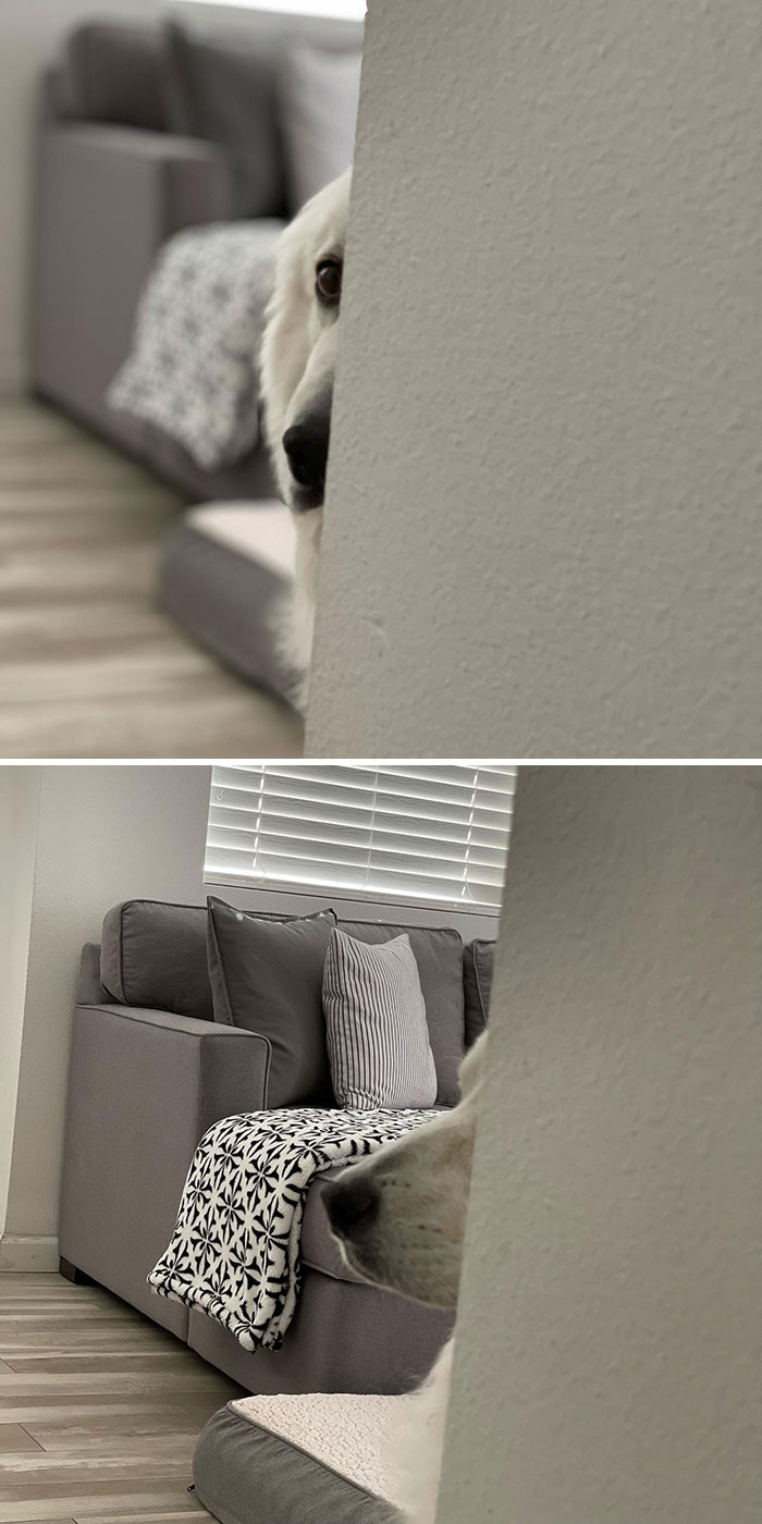 Maybe If I Hide Here, She Won’t See Me