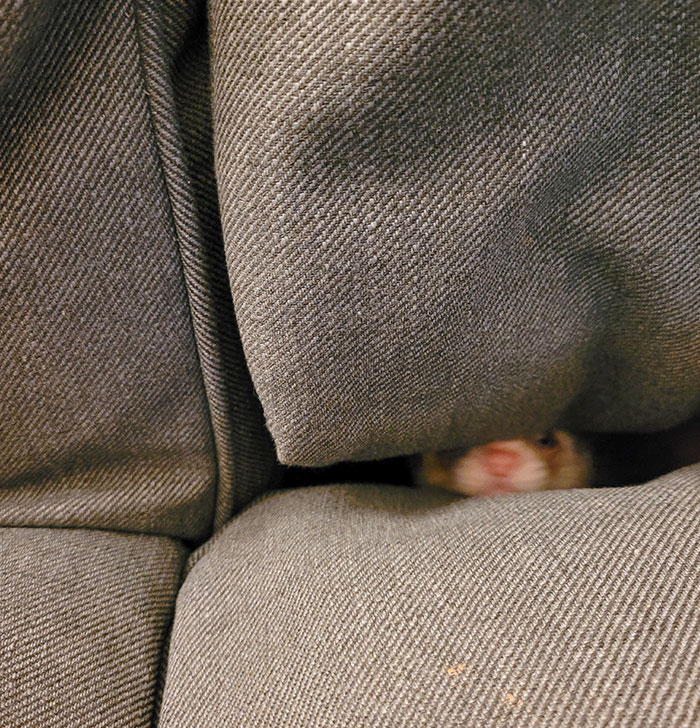 Well, This Is A New Hiding Spot I Was Previously Unaware Of