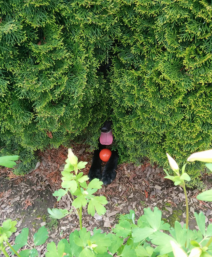 Favorite Hiding Spot