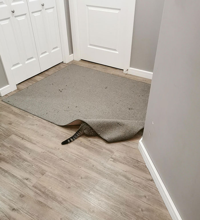 He Was Just Here A Second Ago, I Wonder Where He Went