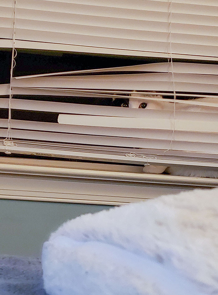 Huh, Why Do I Feel Like Someone Is Staring?