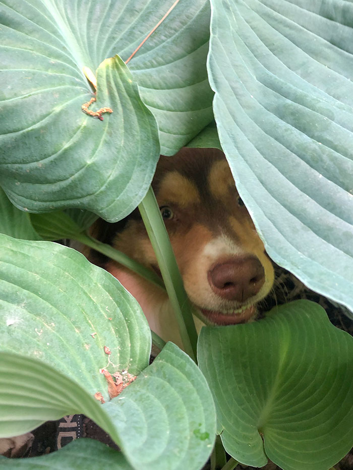 Hiding Before Bedtime And The Hunt For The Perfect Sleep Spot