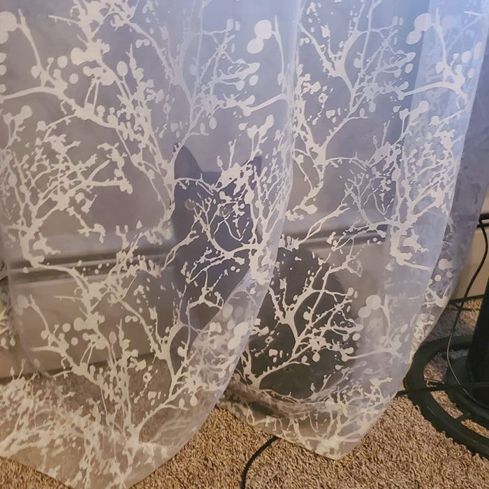 This Hiding Spot Works Better In Our Living Room Where We Have Opaque Curtains