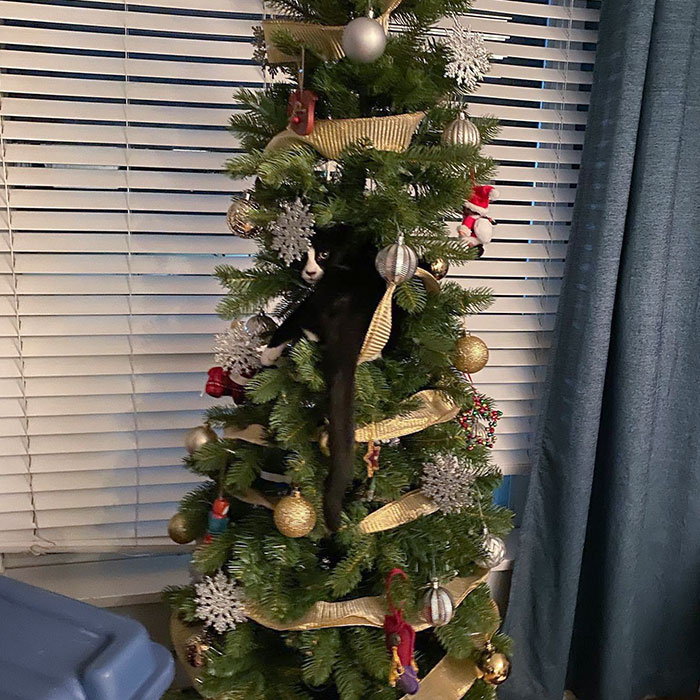 There Was An Attempt