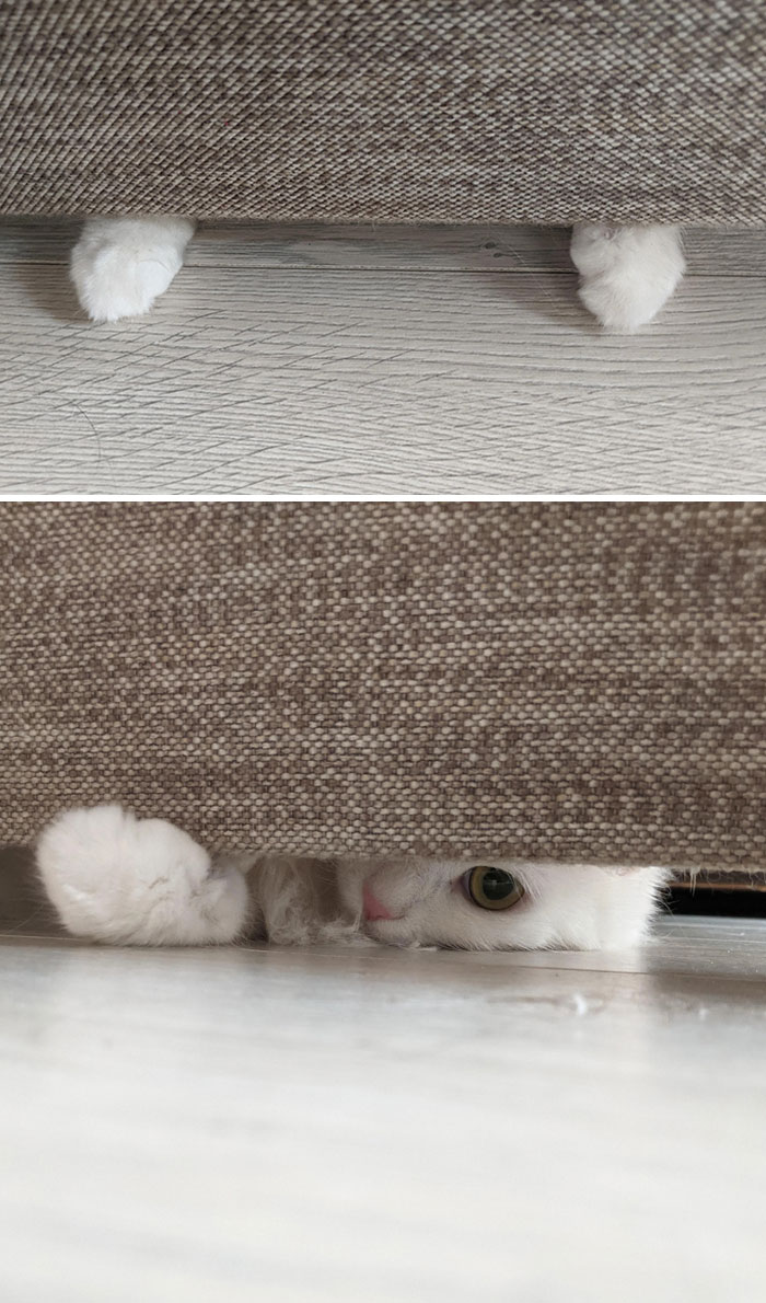 Absolutely Unexpected Trap