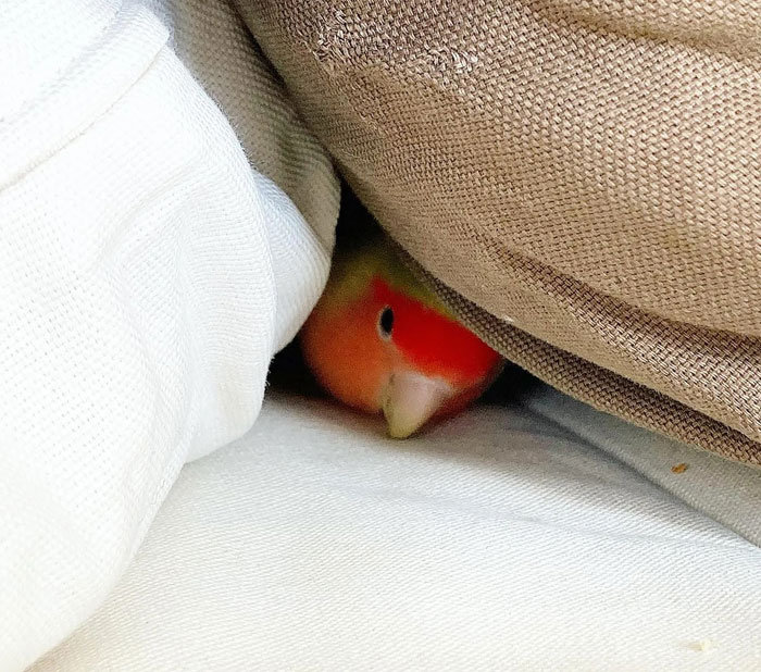 Mum, I’m Watching You