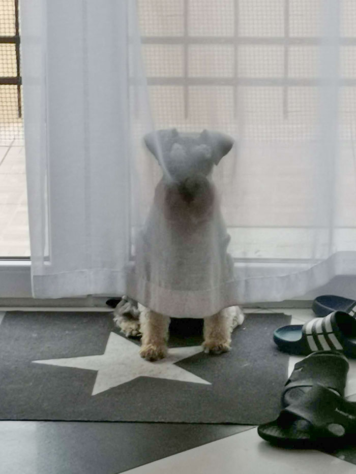 And The Winner Of Hide And Seek Is