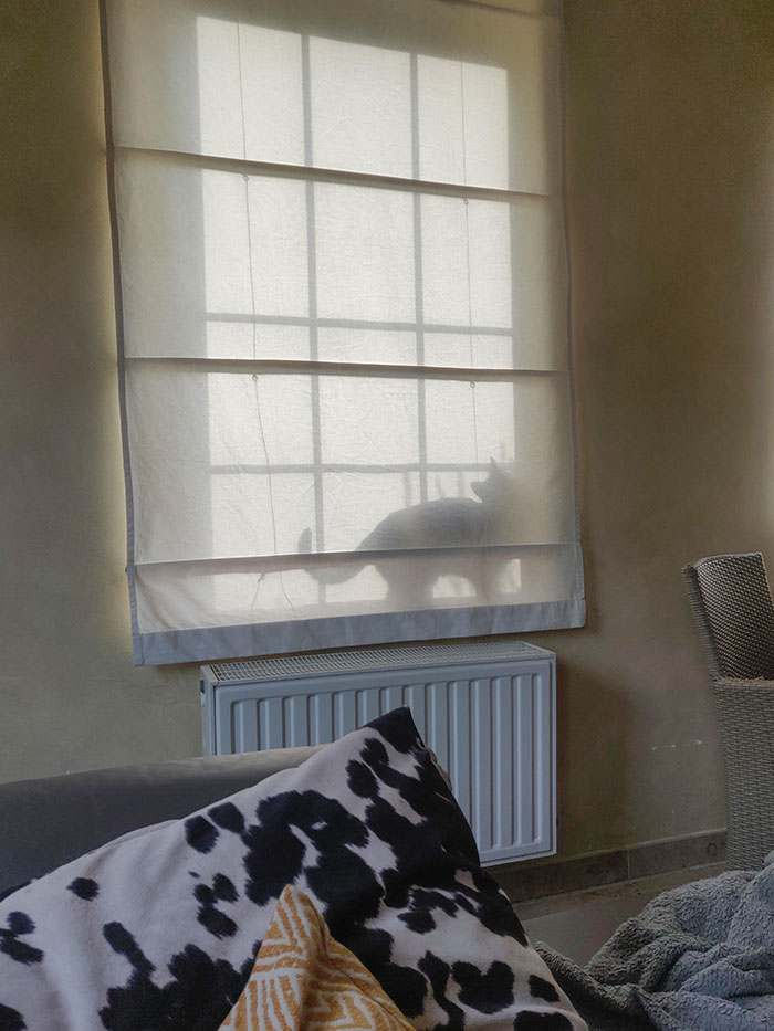 Pixel's Hiding Skills