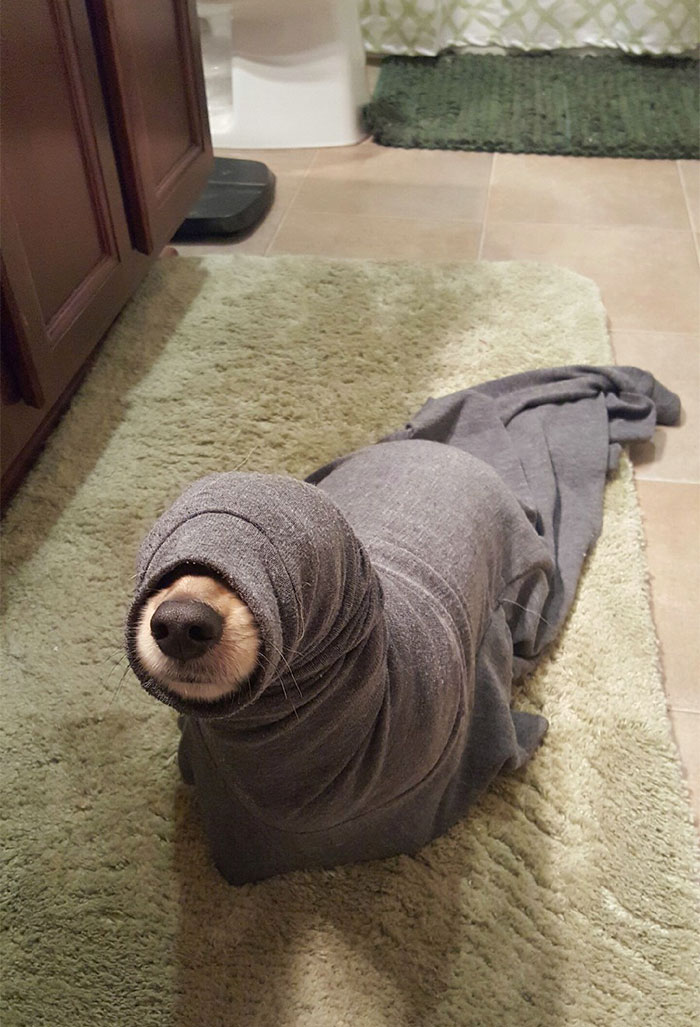 Found A Loose Seal In My Bathroom