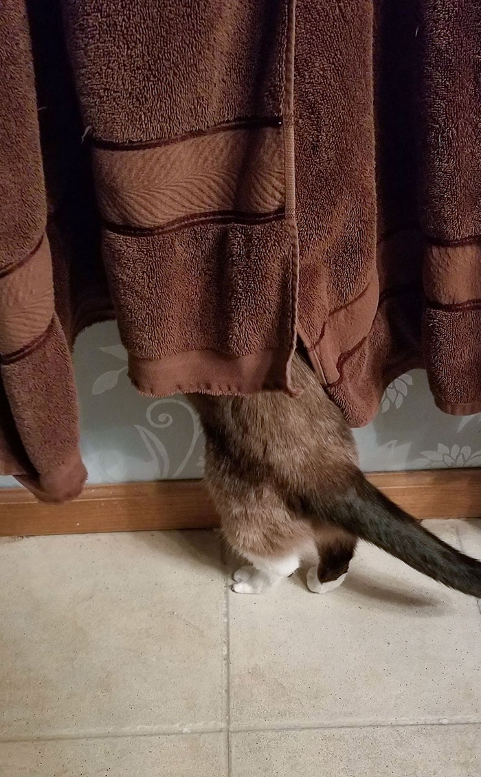 She's "Hiding" In The Towels