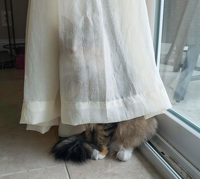 She Hides Here A Lot. She Thinks We Can't See Her