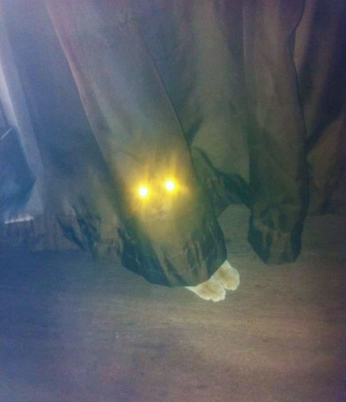 His Favorite Hiding Spot