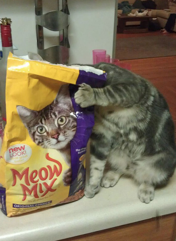 I'll Just Hide In Here, So No One Can See Me