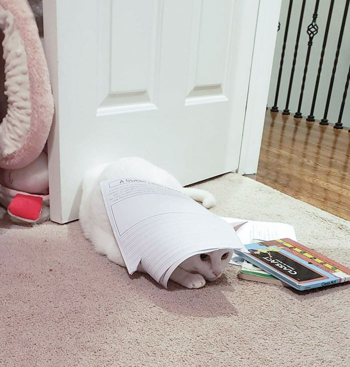 Winston Thinks We Can't See Him