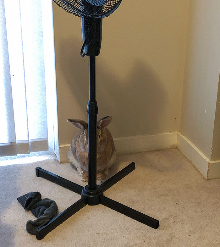 Worst Hide And Seek Player Of All Time