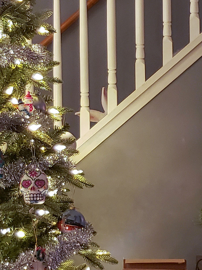 No One Can Tell I'm Hiding On The Stairs