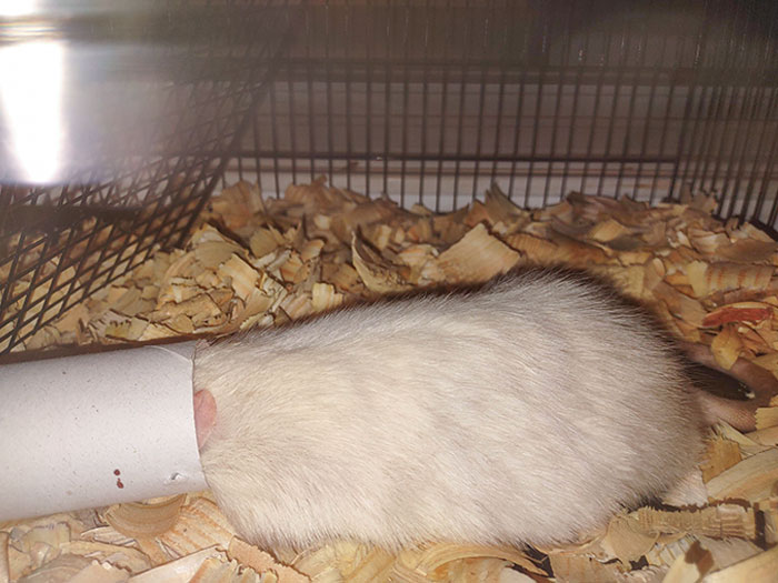 He Thinks He's Hiding