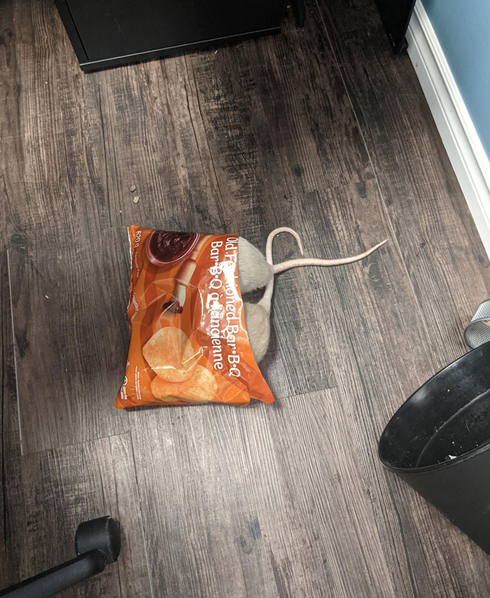 Playing Hide And Seek